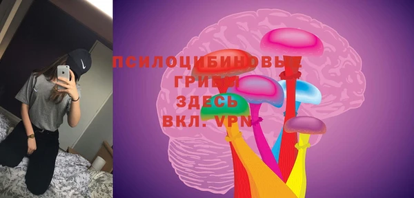 ПСИЛОЦИБИНОВЫЕ ГРИБЫ Алексин