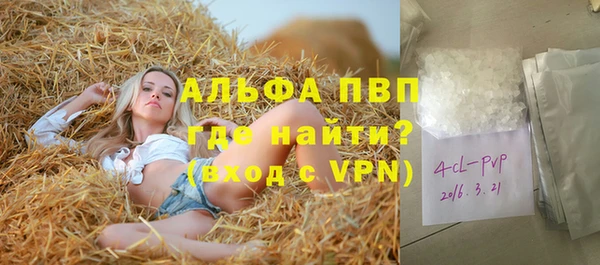индика Алексеевка