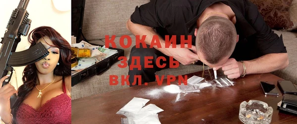 индика Алексеевка