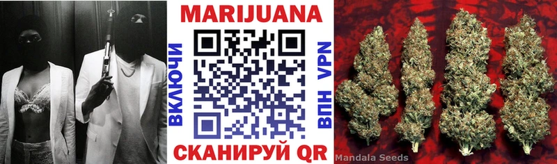 кракен вход  Лаишево  Шишки марихуана план  как найти наркотики 
